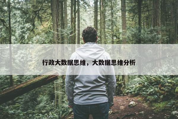 行政大数据思维，大数据思维分析