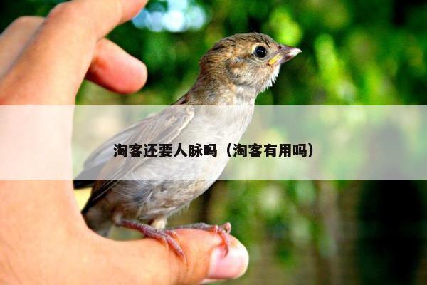 淘客还要人脉吗（淘客有用吗）