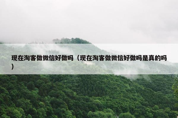 现在淘客做微信好做吗（现在淘客做微信好做吗是真的吗）