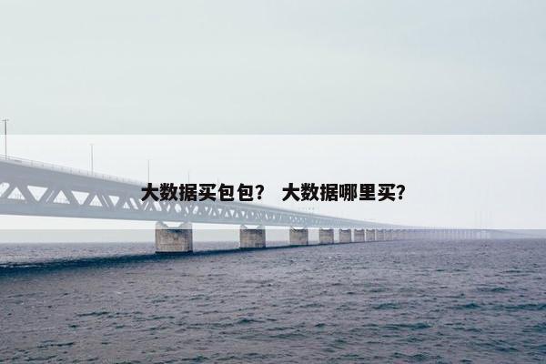 大数据买包包？ 大数据哪里买？