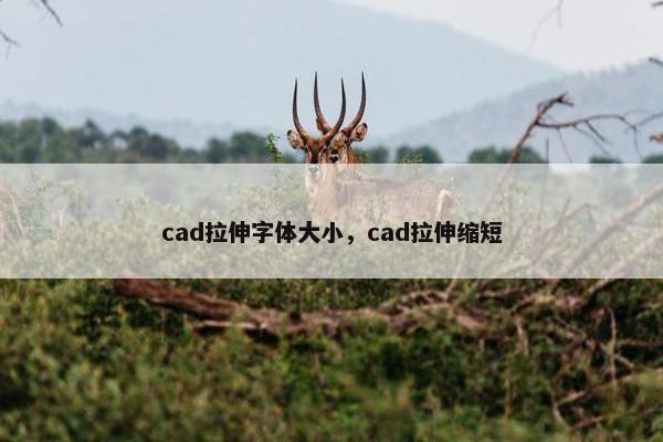 cad拉伸字体大小，cad拉伸缩短
