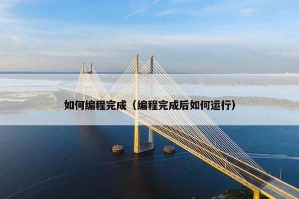 如何编程完成（编程完成后如何运行）