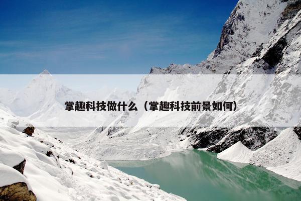 掌趣科技做什么（掌趣科技前景如何）