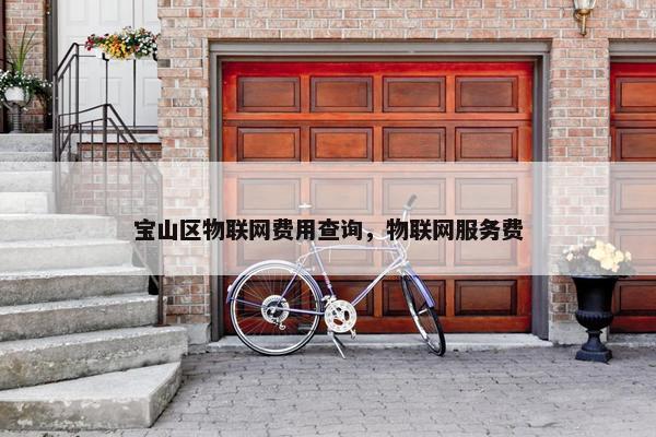 宝山区物联网费用查询，物联网服务费