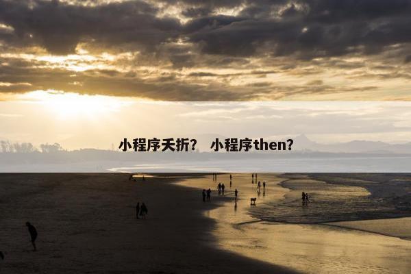 小程序夭折？ 小程序then？