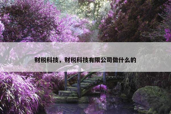 财税科技，财税科技有限公司做什么的