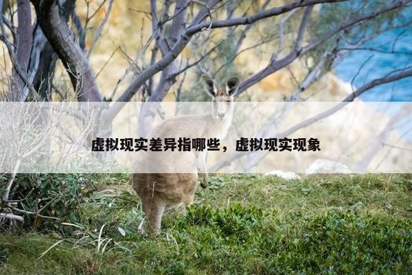 虚拟现实差异指哪些，虚拟现实现象