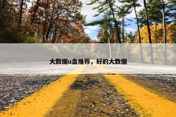 大数据u盘推荐，好的大数据