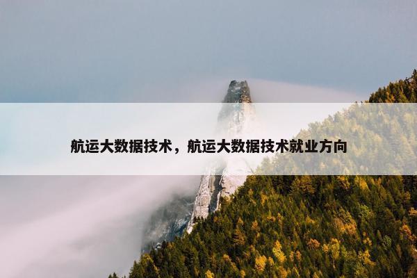 航运大数据技术，航运大数据技术就业方向