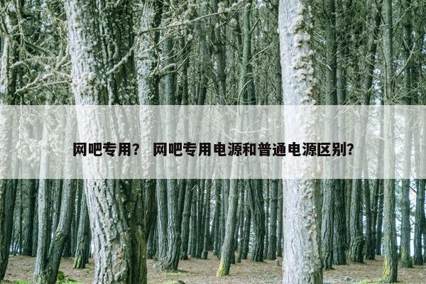 网吧专用？ 网吧专用电源和普通电源区别？