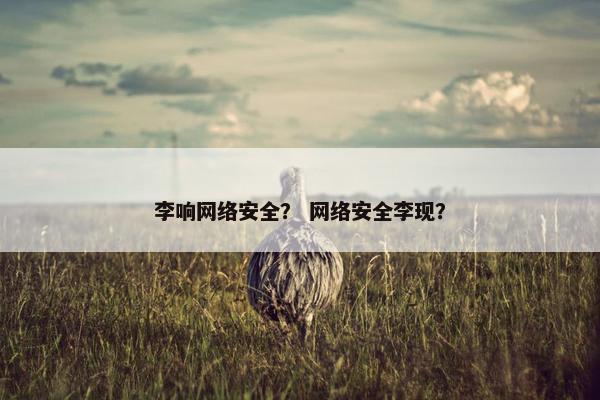 李响网络安全？ 网络安全李现？