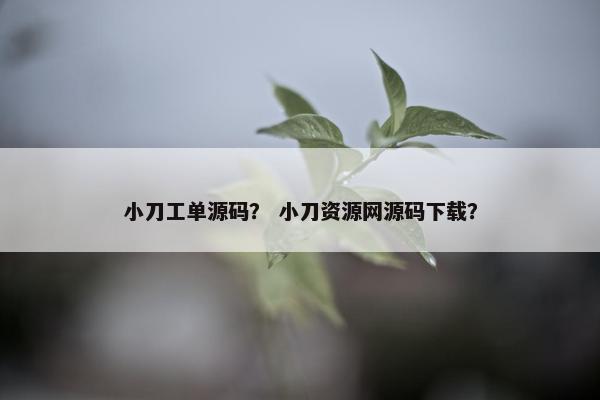 小刀工单源码？ 小刀资源网源码下载？