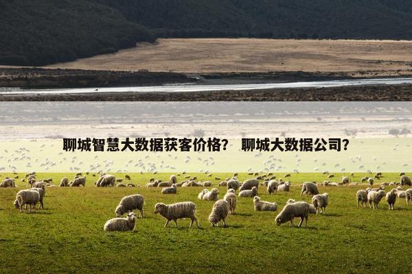 聊城智慧大数据获客价格？ 聊城大数据公司？