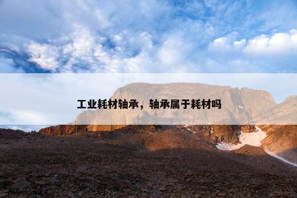 工业耗材轴承，轴承属于耗材吗