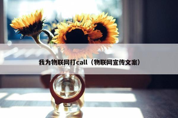 我为物联网打call（物联网宣传文案）