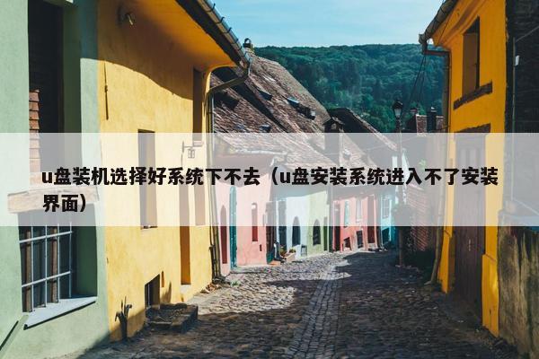 u盘装机选择好系统下不去（u盘安装系统进入不了安装界面）