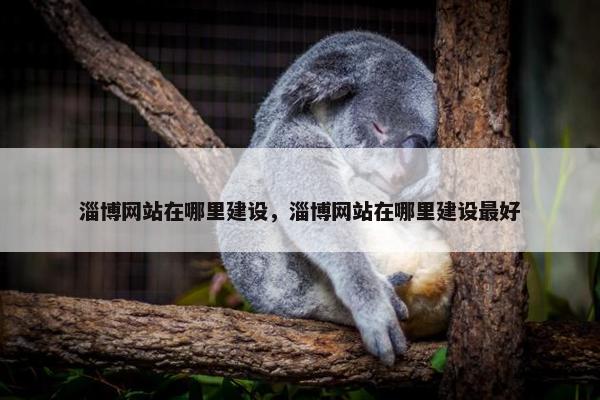 淄博网站在哪里建设，淄博网站在哪里建设最好