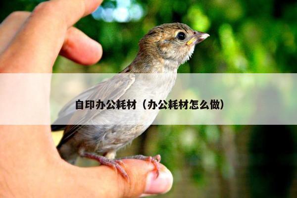 自印办公耗材（办公耗材怎么做）