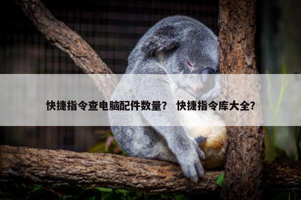 快捷指令查电脑配件数量？ 快捷指令库大全？