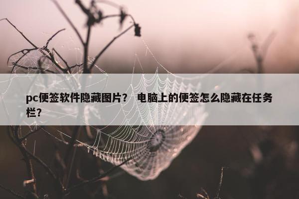 pc便签软件隐藏图片？ 电脑上的便签怎么隐藏在任务栏？