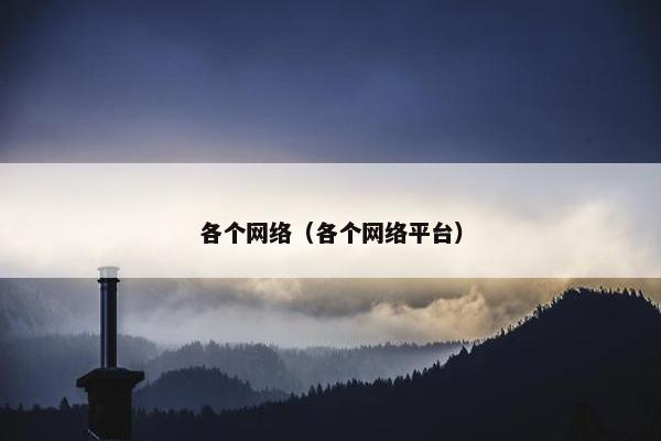 各个网络（各个网络平台）