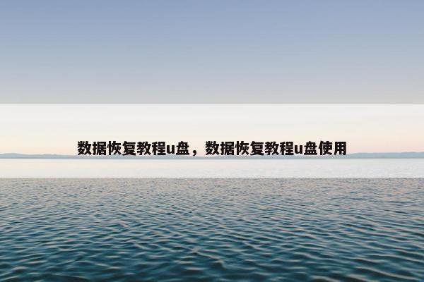 数据恢复教程u盘，数据恢复教程u盘使用