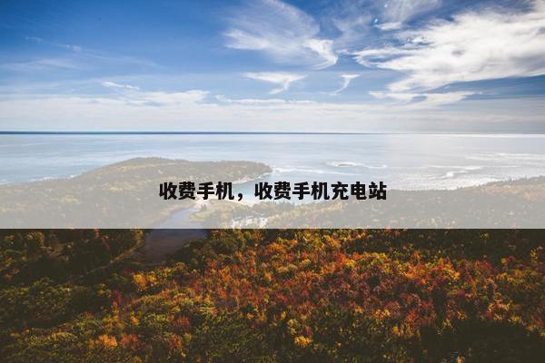 收费手机，收费手机充电站