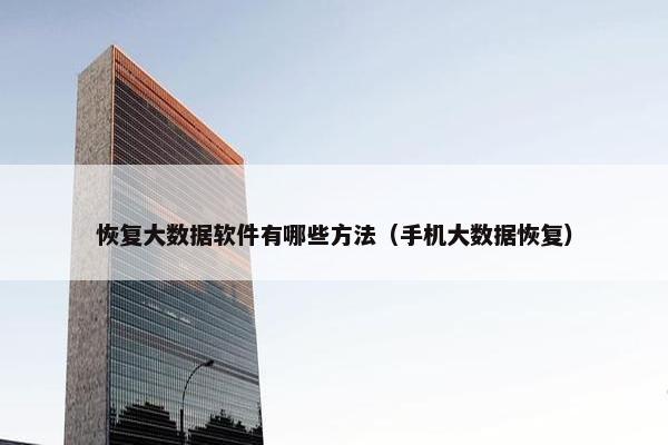 恢复大数据软件有哪些方法（手机大数据恢复）