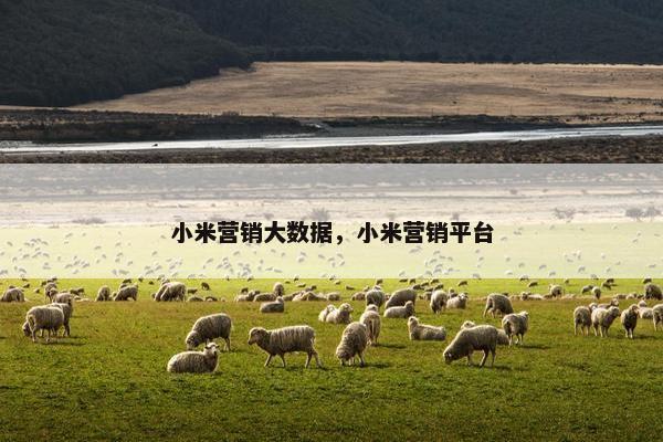 小米营销大数据，小米营销平台