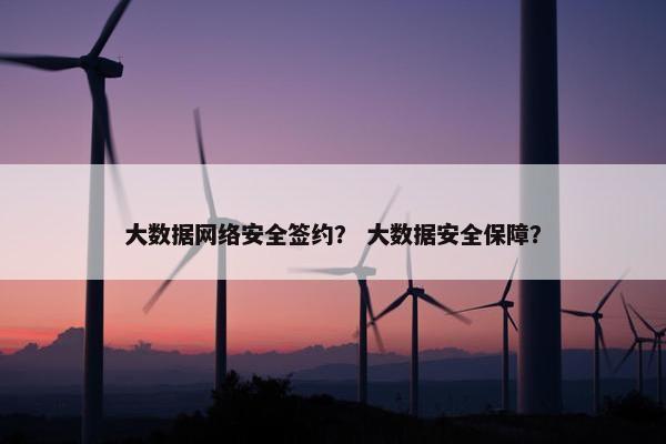 大数据网络安全签约？ 大数据安全保障？