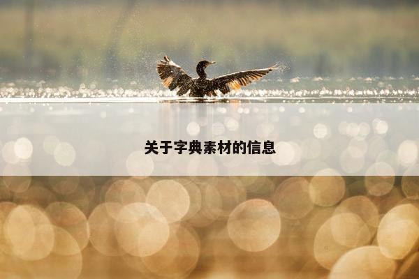 关于字典素材的信息