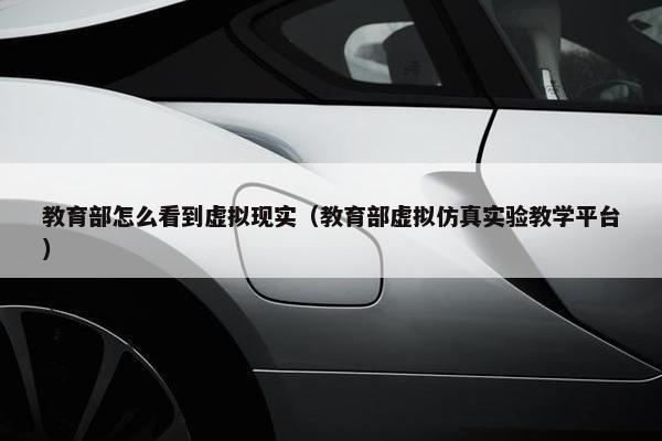 教育部怎么看到虚拟现实（教育部虚拟仿真实验教学平台）