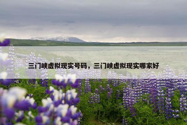 三门峡虚拟现实号码，三门峡虚拟现实哪家好