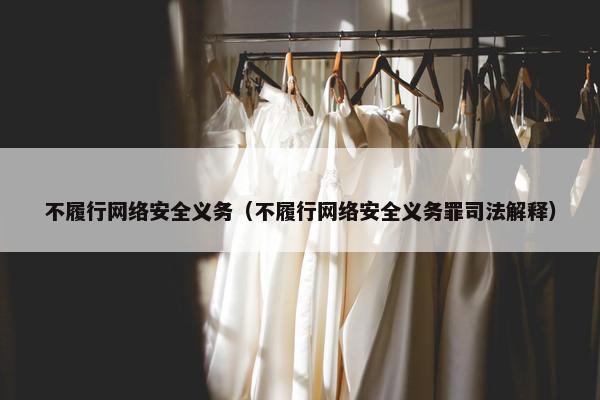 不履行网络安全义务（不履行网络安全义务罪司法解释）