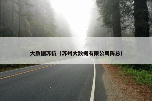大数据苏杭（苏州大数据有限公司陈总）