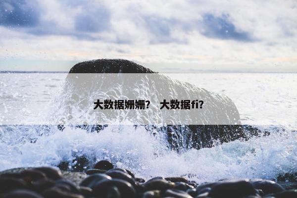 大数据姗姗？ 大数据fi？