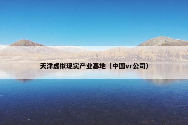 天津虚拟现实产业基地（中国vr公司）