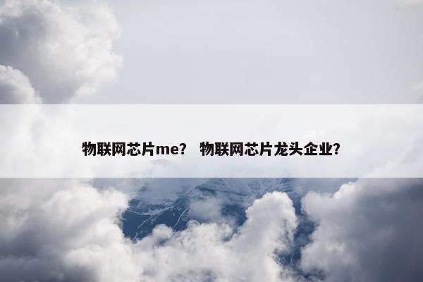 物联网芯片me？ 物联网芯片龙头企业？