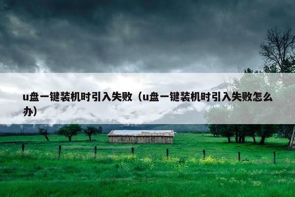 u盘一键装机时引入失败（u盘一键装机时引入失败怎么办）