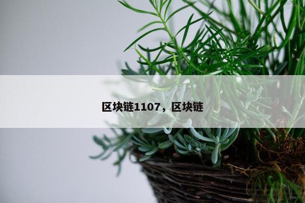 区块链1107，区块链