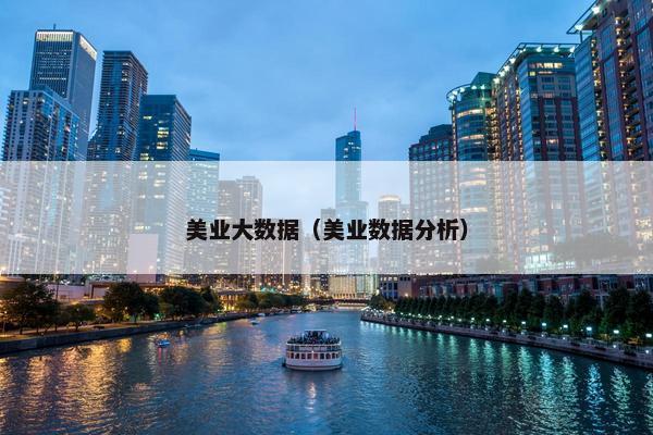 美业大数据（美业数据分析）