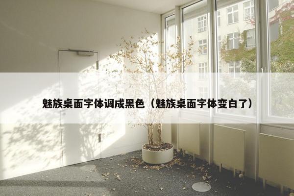 魅族桌面字体调成黑色（魅族桌面字体变白了）