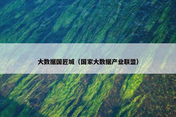 大数据国匠城（国家大数据产业联盟）