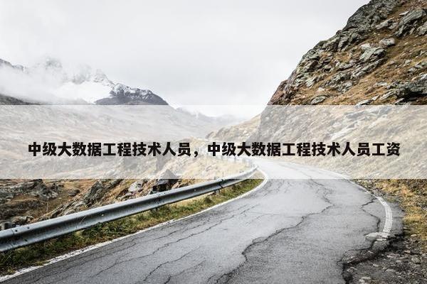 中级大数据工程技术人员，中级大数据工程技术人员工资