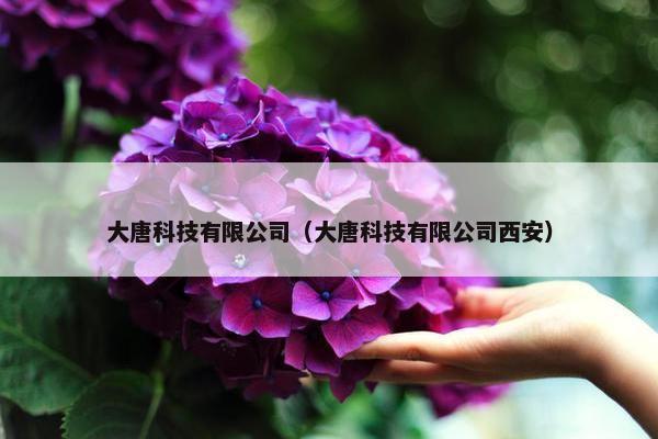 大唐科技有限公司（大唐科技有限公司西安）