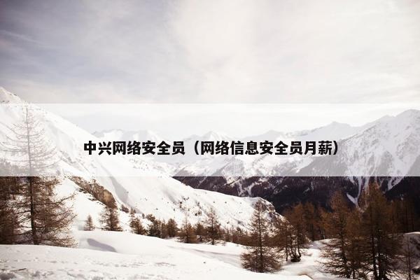 中兴网络安全员（网络信息安全员月薪）