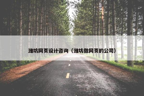 潍坊网页设计咨询（潍坊做网页的公司）