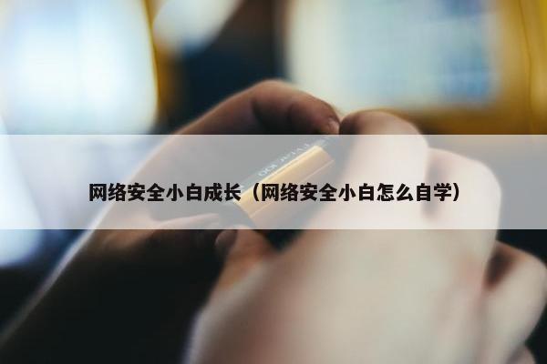 网络安全小白成长（网络安全小白怎么自学）
