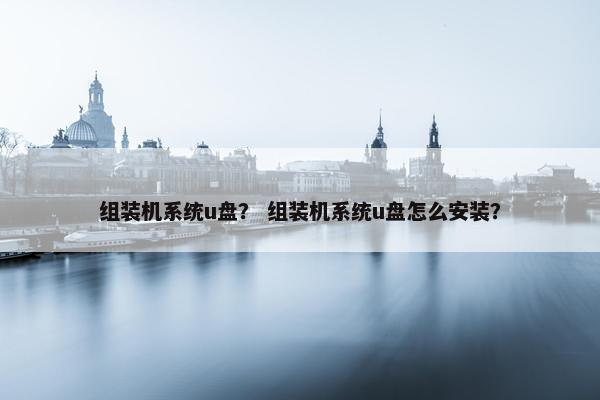 组装机系统u盘？ 组装机系统u盘怎么安装？