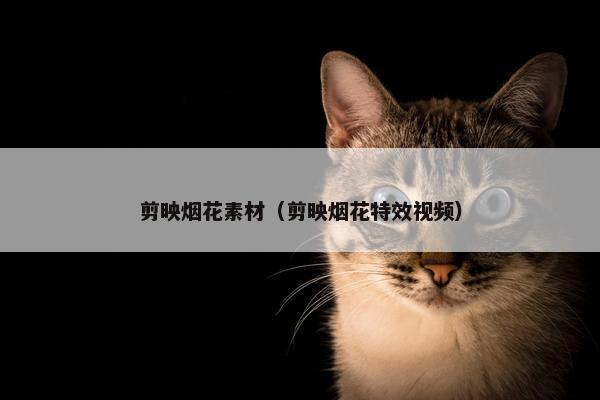 剪映烟花素材（剪映烟花特效视频）